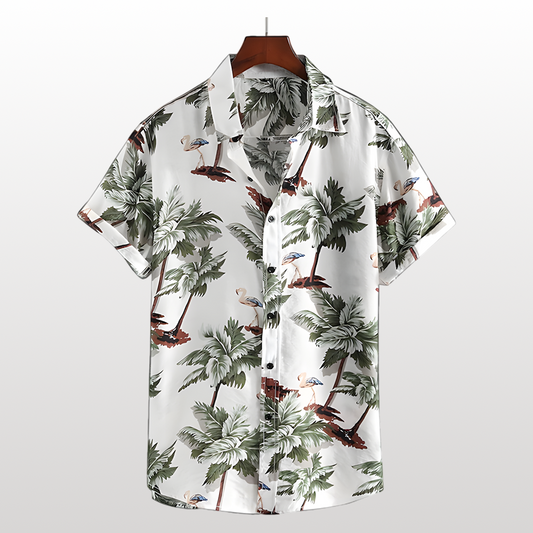 Camisa con palmera y coco